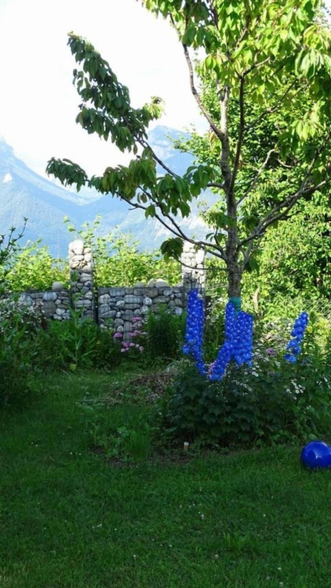 Chalet Aebnit Lägenhet Aeschi Bei Spiez Exteriör bild